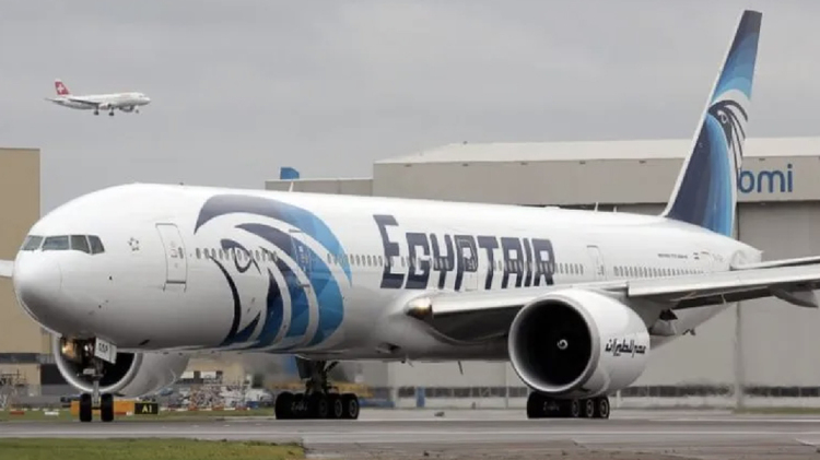Efficient Air Freight Solutions for Egypt Imports and Exports with Yes2Qatar.
