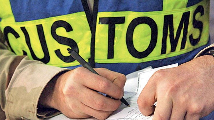 Customs Officer Inspecting Documents for Clearance Process