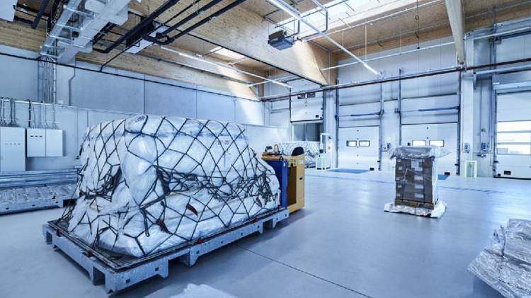 Cold Storage Warehouse with Palletized Goods Prepared for Shipment